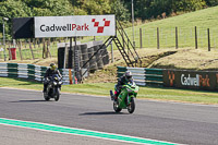 Middle Group Green Bikes